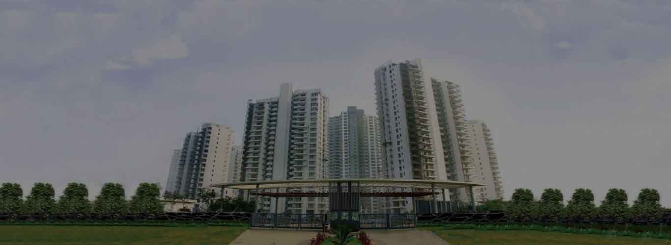 M3M Polo Suites Sector 65